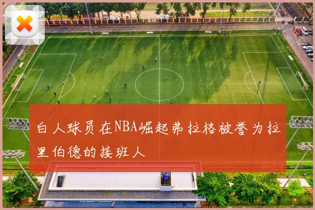 白人球员在NBA崛起弗拉格被誉为拉里伯德的接班人